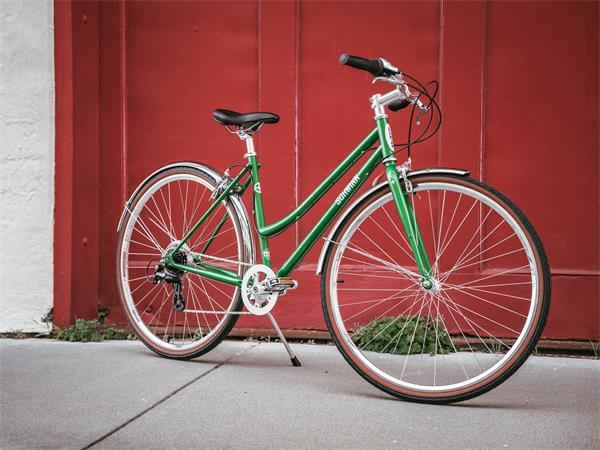 1969 schwinn collegiate