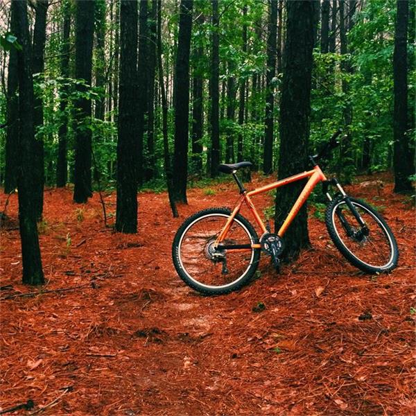 Is The Trek 6500 A Good Mountain Bike Review