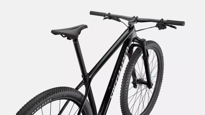 Specialized Epic Hardtail Frame