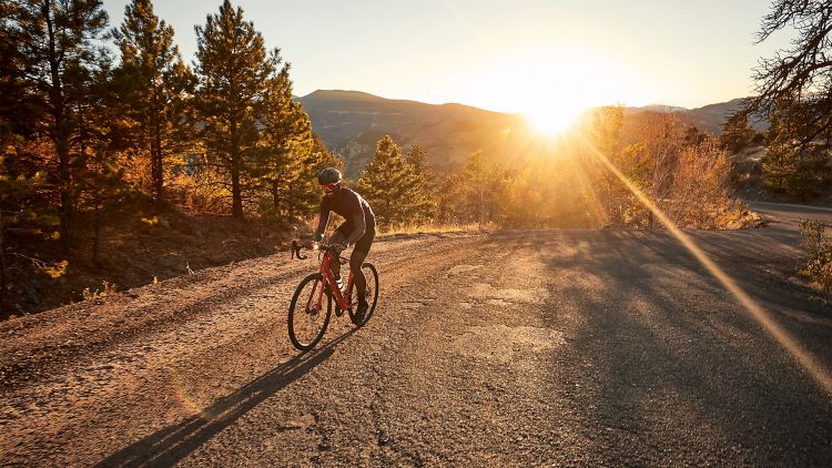 Trek Domane AL 4 Disc