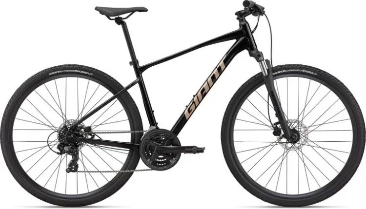 2022 Giant Roam Disc 4