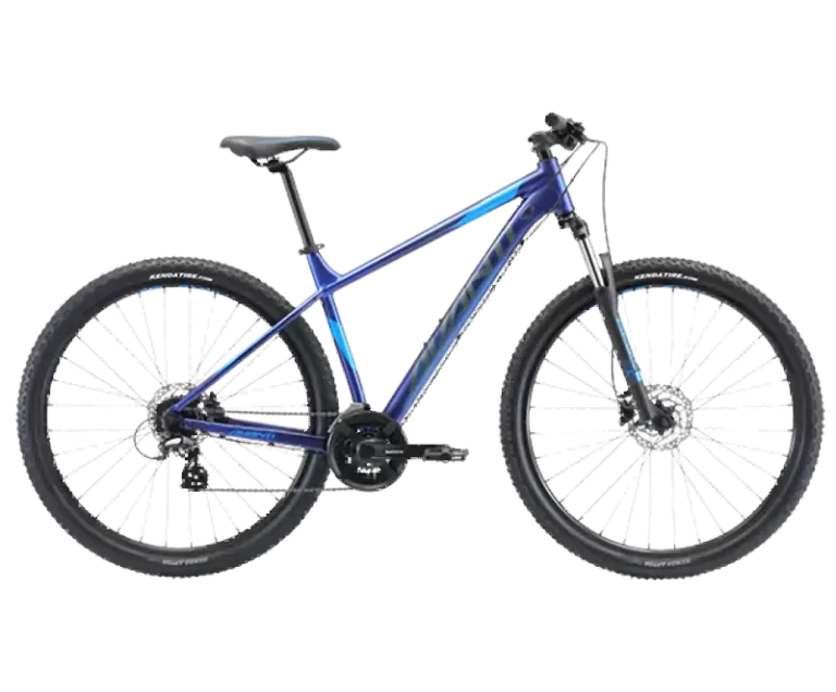Avanti Montari 1