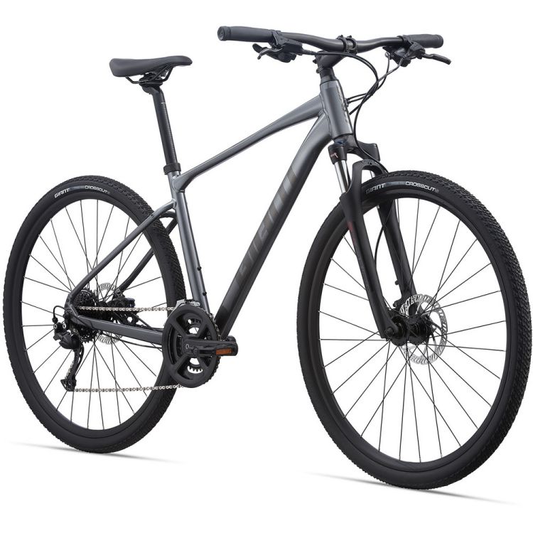 Trek dual sport 2 best sale vs giant roam 3