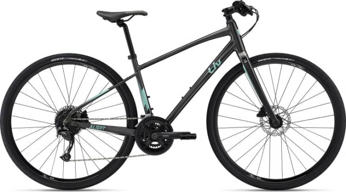 Top 10 Best Road Bikes Under $1000 2023 - Liv Alight DD Disc 1