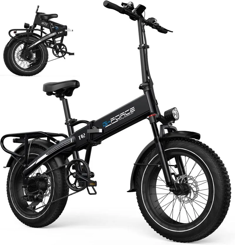 Burch Fat Tire Electric Tricycle