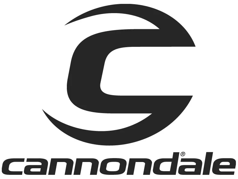 Top 10 Best Mountain Bike Brands [2023] - Cannondale