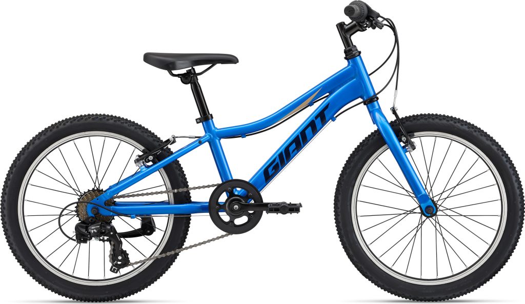 Giant boulder jr bike hot sale