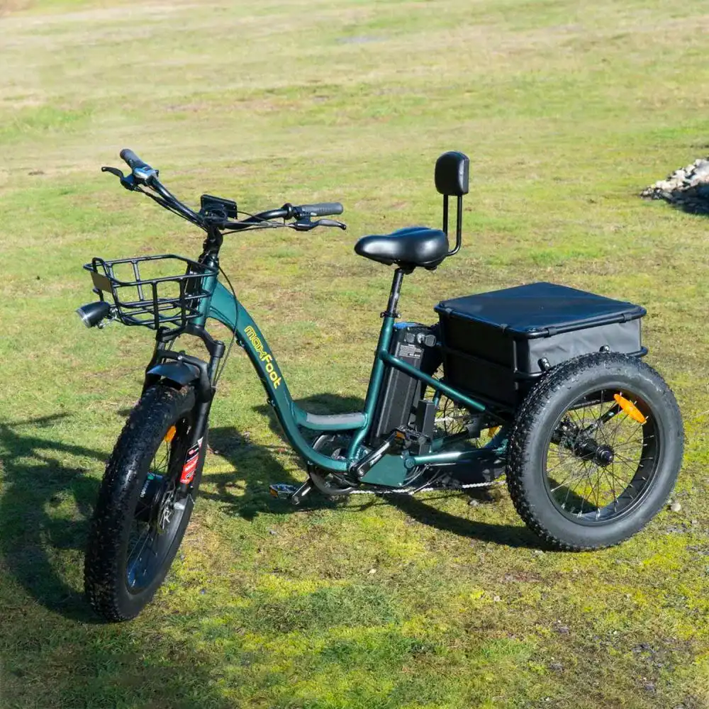 Maxfoot electric bike