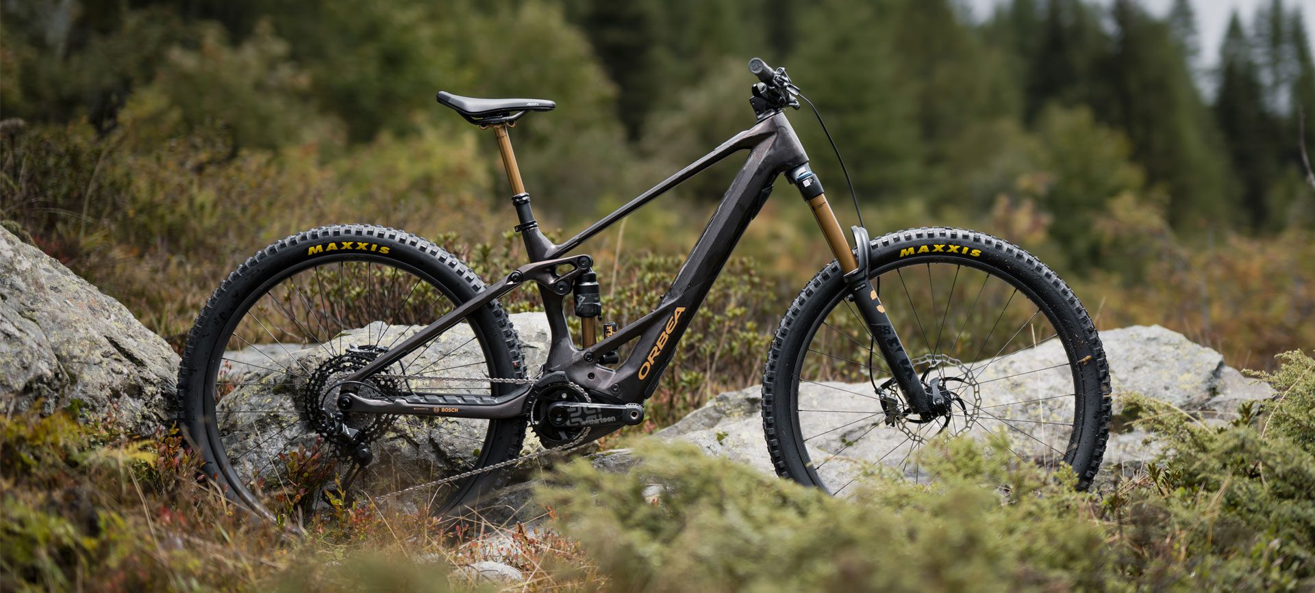 Is Orbea WILD M-LTD 20mph a Good Choice? -[Orbea WILD M-LTD 20mph Review]