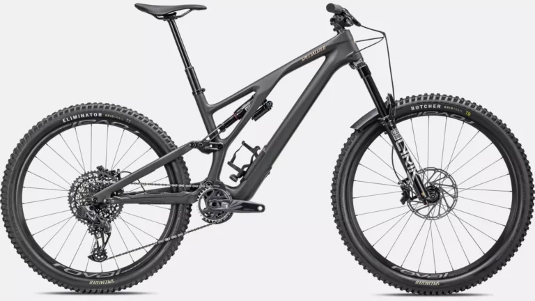 2025 Conquer Any Trail [Santa Cruz Bronson R Review]